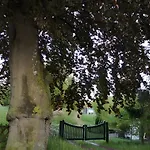 Antje *